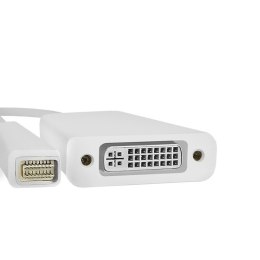 Qoltec Adapter Mini DVI męska | DVI (24+5) żeńska |0.17m